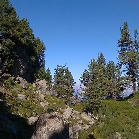 Ferienwohnung Hannes Steirer Neustift im Stubaital Exteriör bild