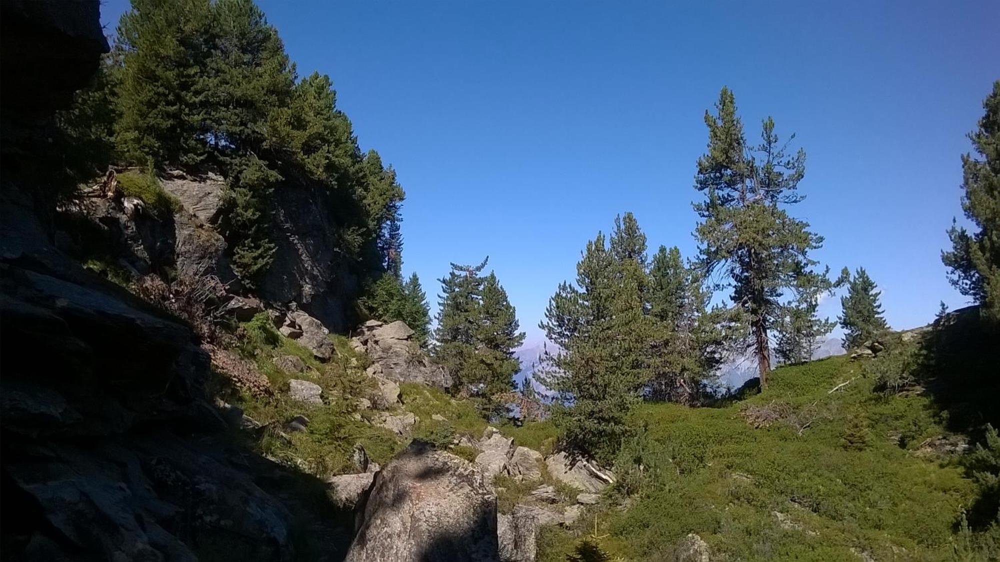 Ferienwohnung Hannes Steirer Neustift im Stubaital Exteriör bild
